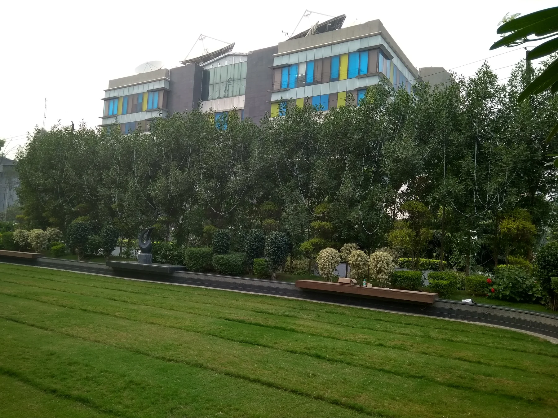 Maintained lawn and layered planting at Dainik Bhaskar, Film City, Noida