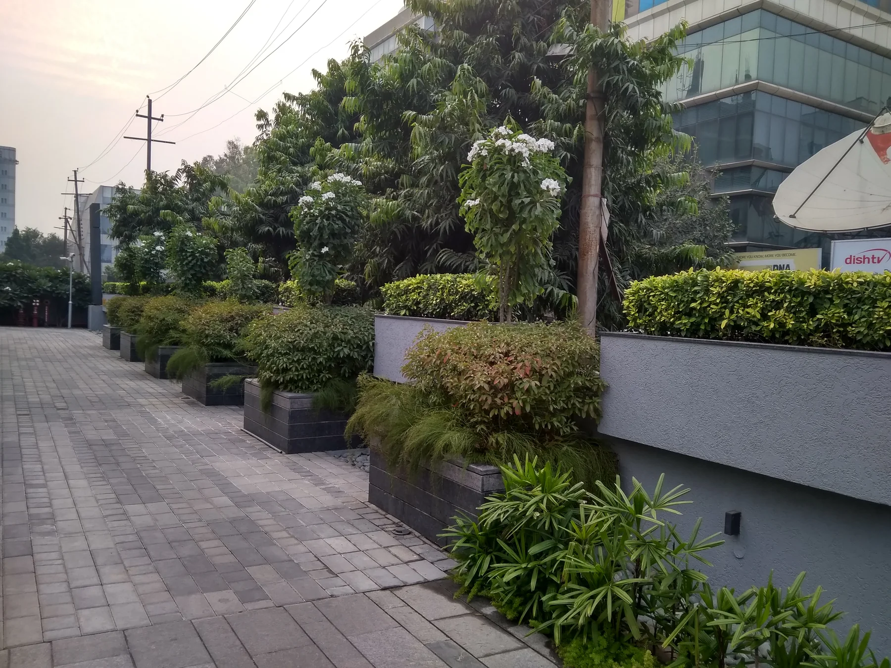 Planted arrival landscape at Dainik Bhaskar, Film City, Noida