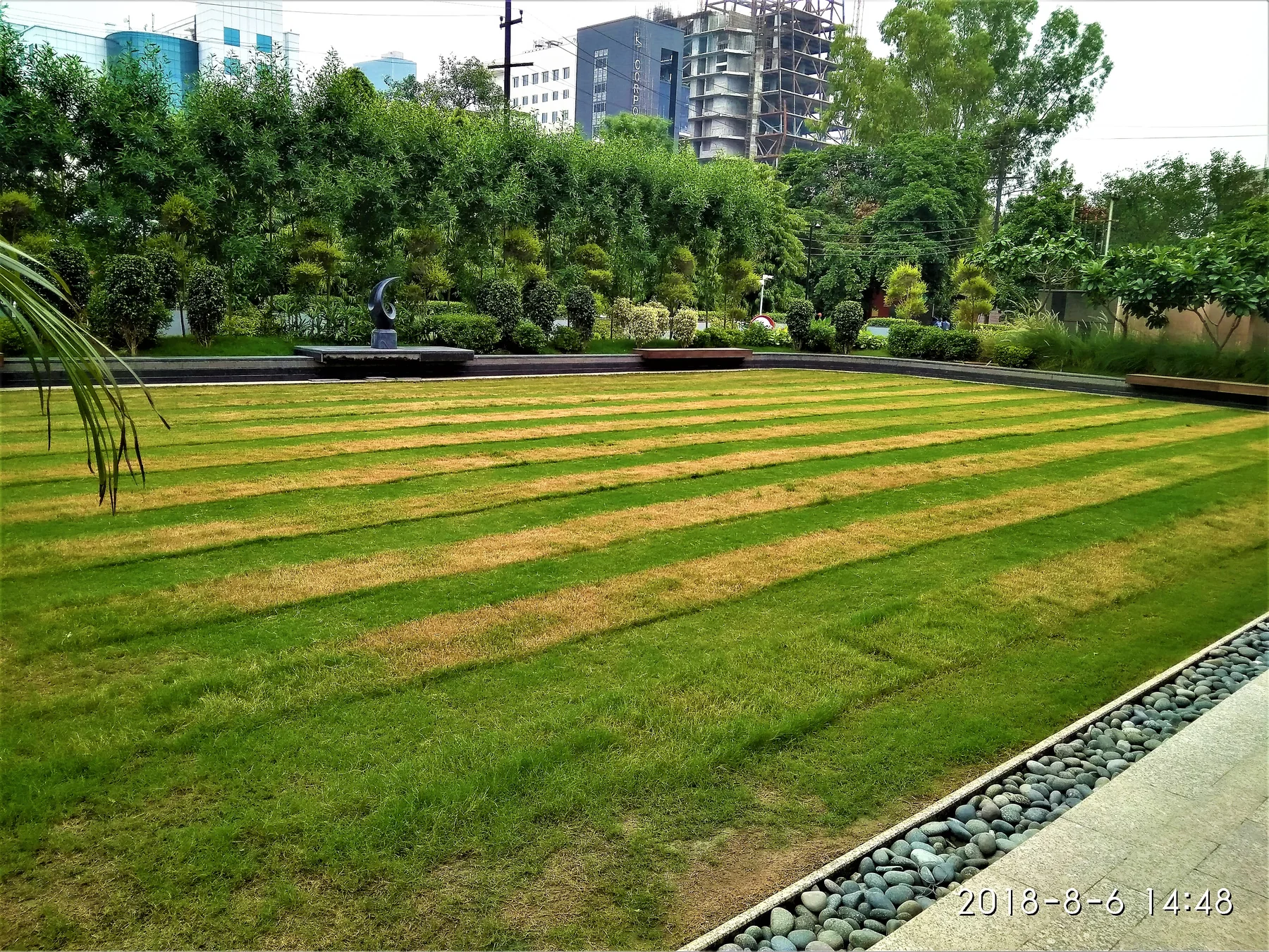 Striped lawn and established planting at Dainik Bhaskar, Film City, Noida