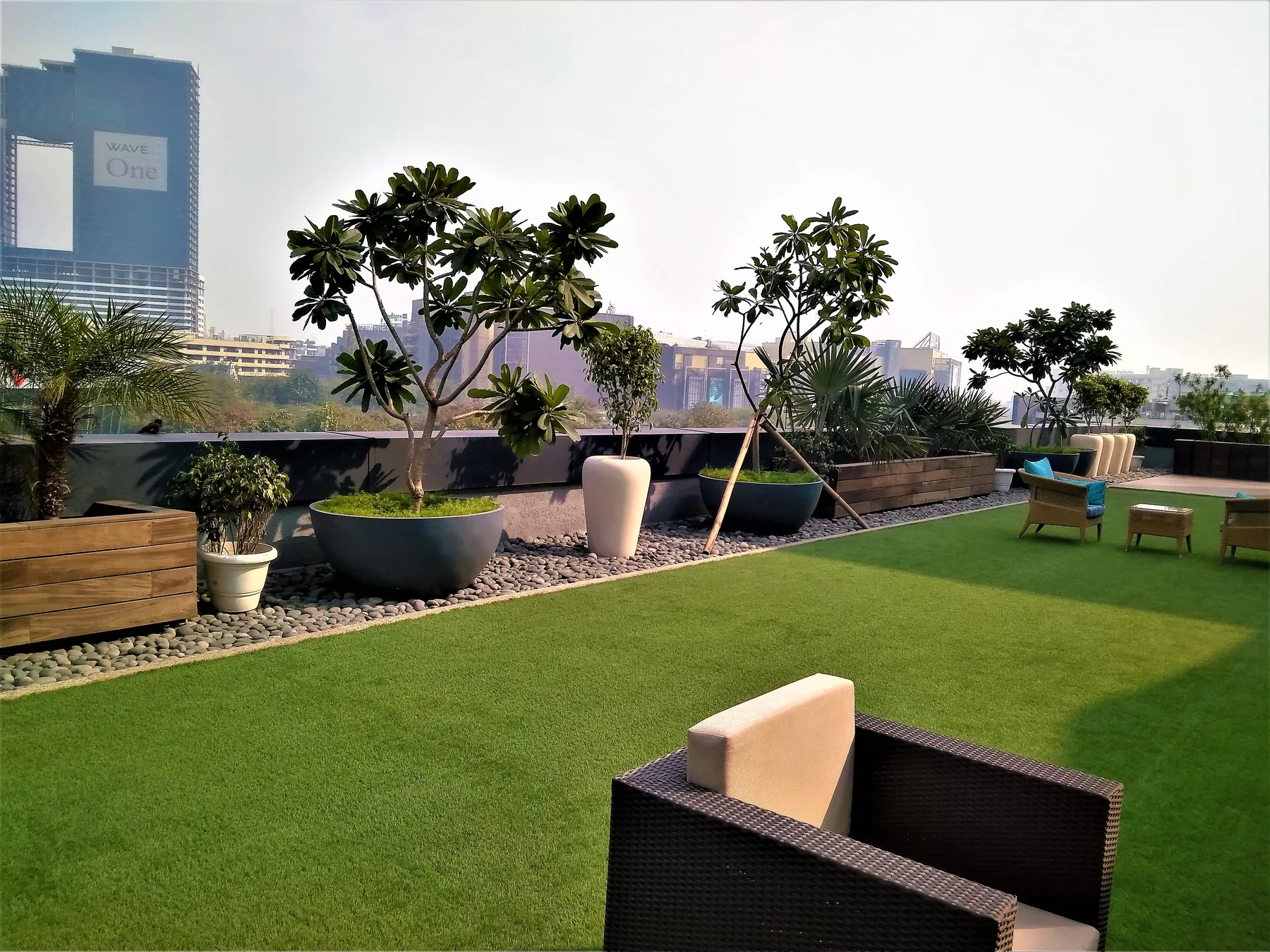 Terrace lawn and planted edges at Dainik Bhaskar in Noida