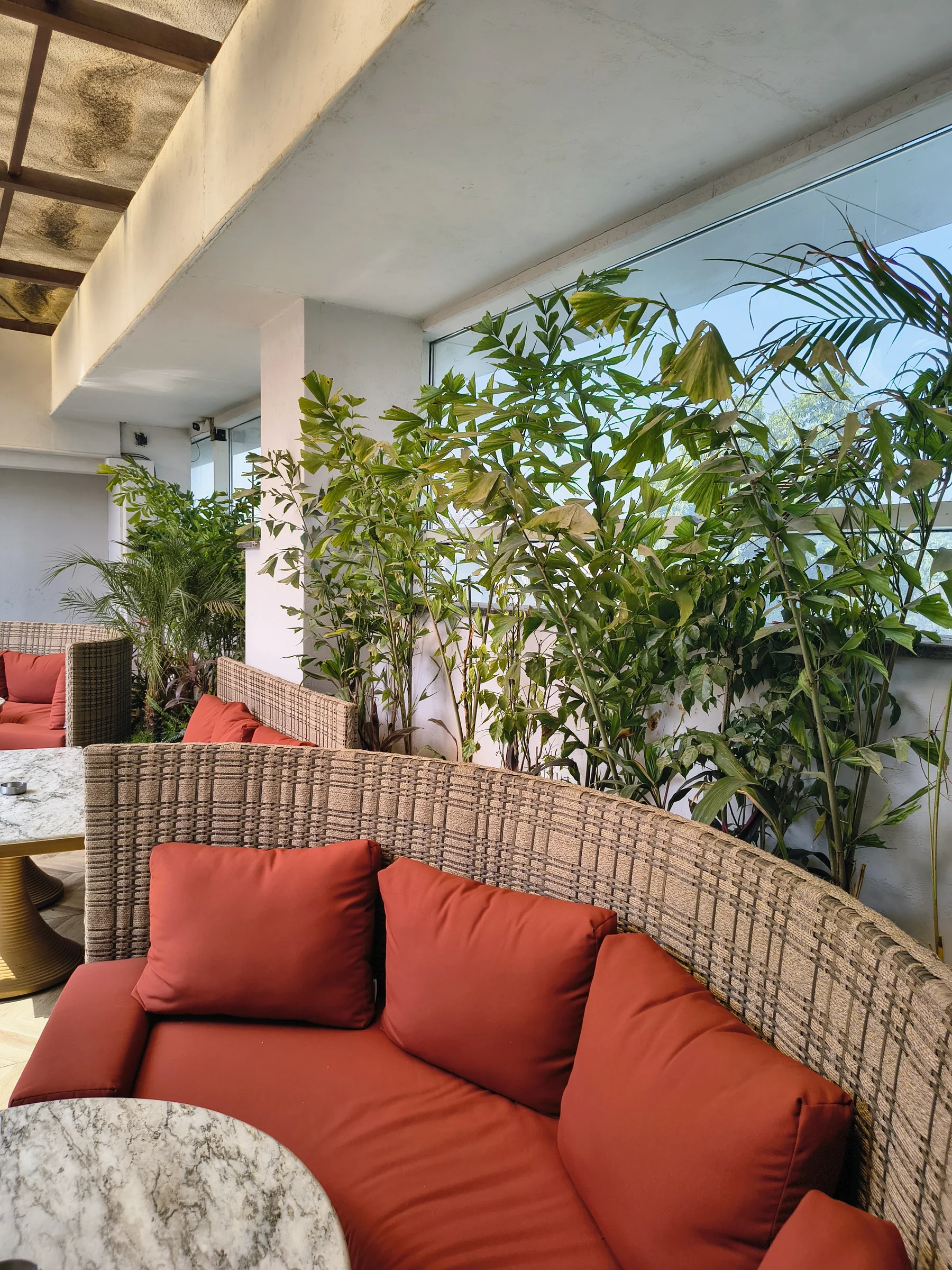 Landscape detail at a premium restaurant in Delhi