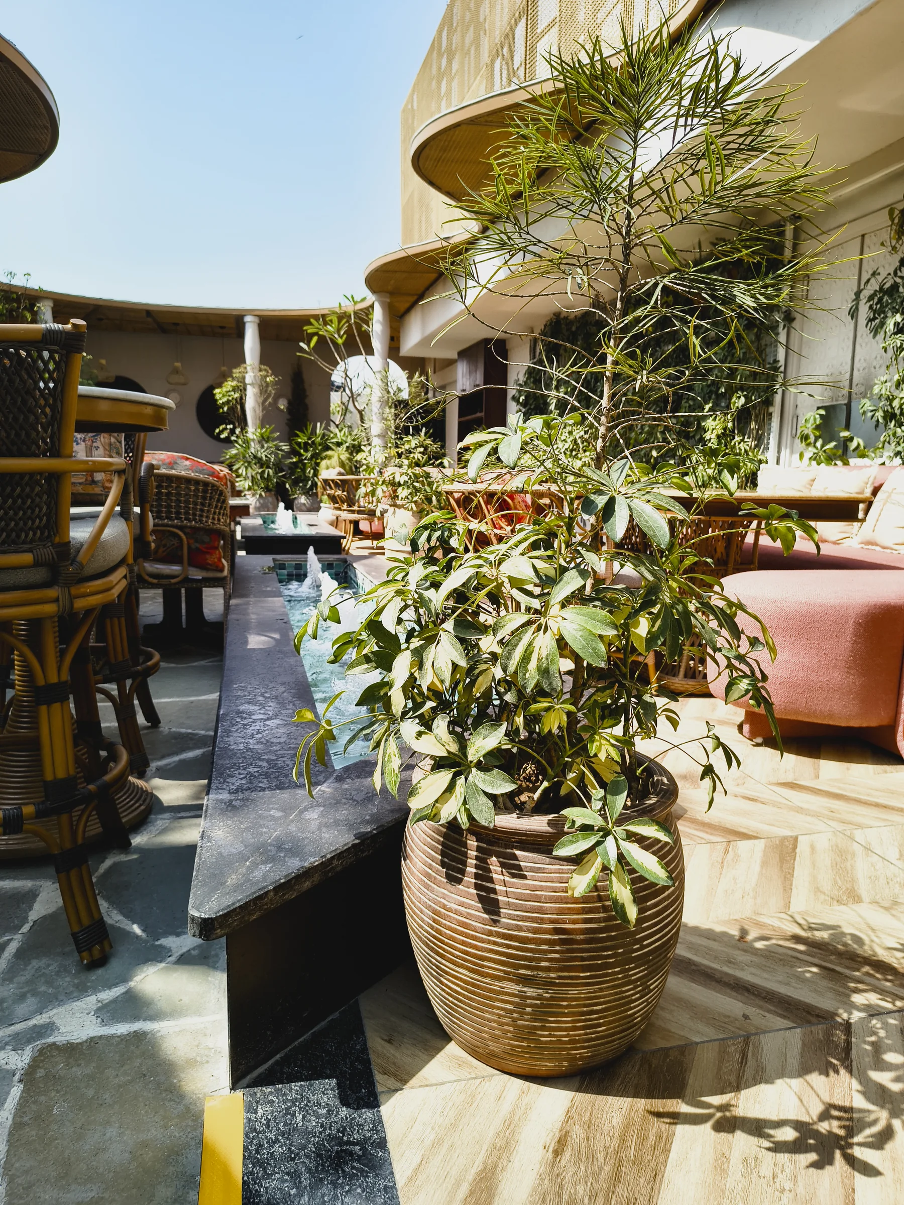Water feature and planting at a premium restaurant in Delhi