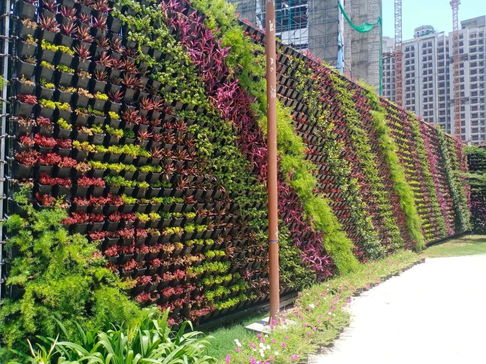 Living-wall planting at Eldeco Live By the Greens, Greater Noida