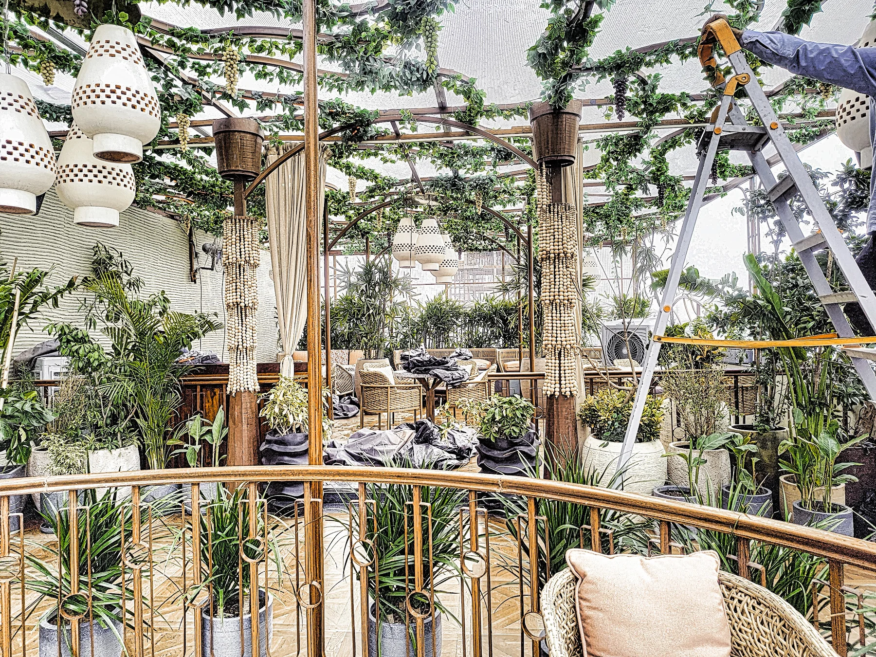 Interior greenery at a luxury terrace restaurant in Greater Noida