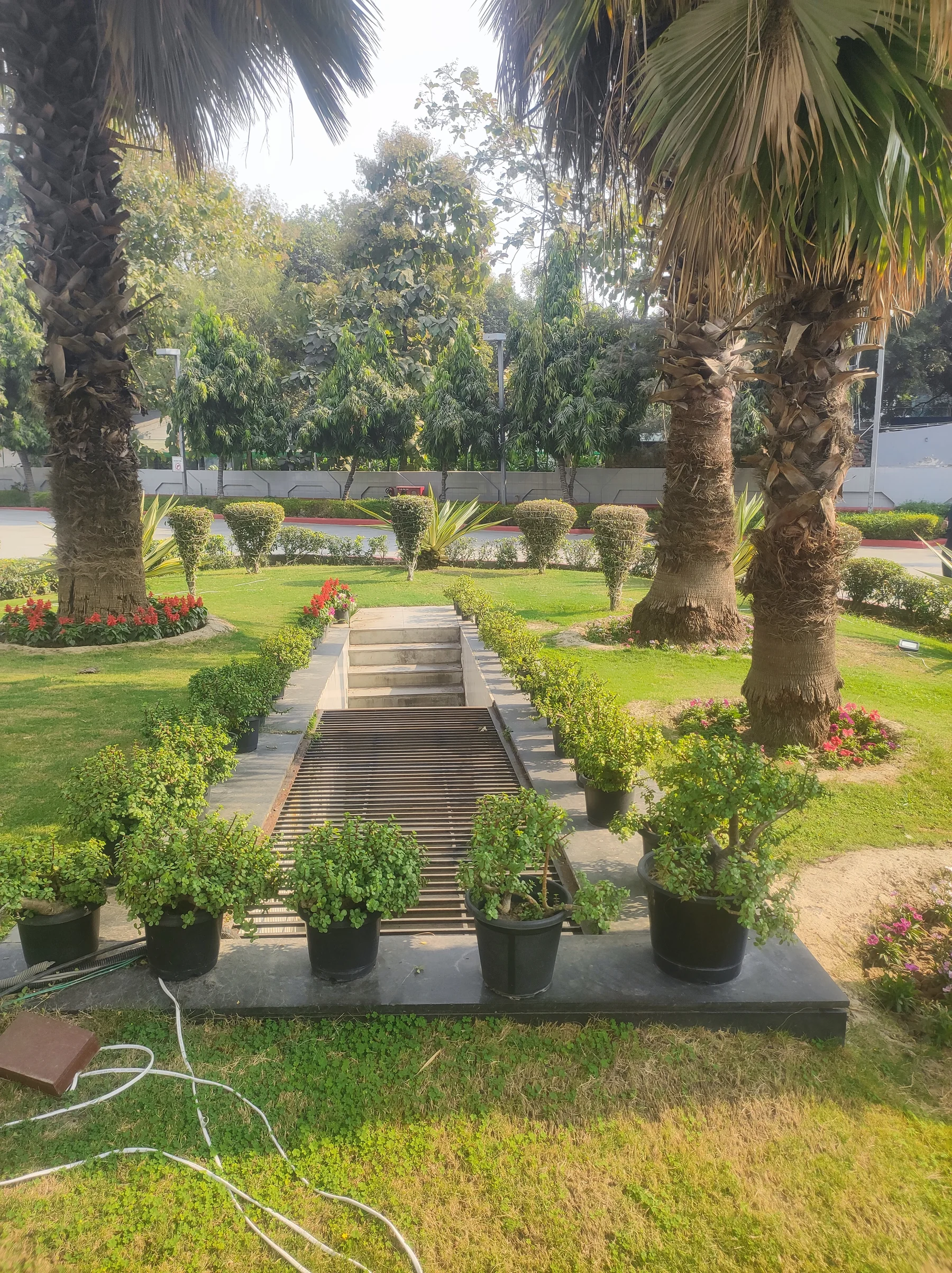 Rock garden and planted pathway at India Today / Aaj Tak, Noida