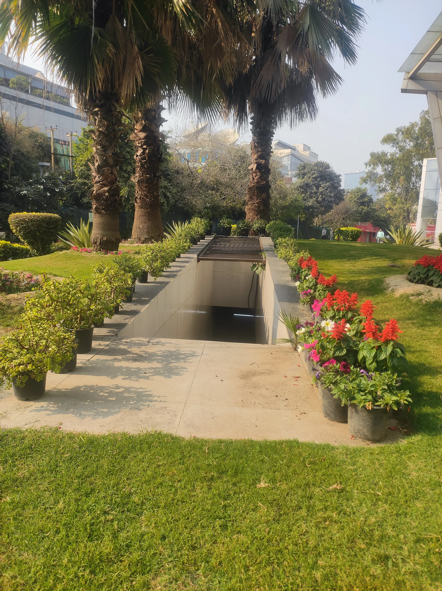 Palm planting and rock garden at India Today / Aaj Tak, Noida