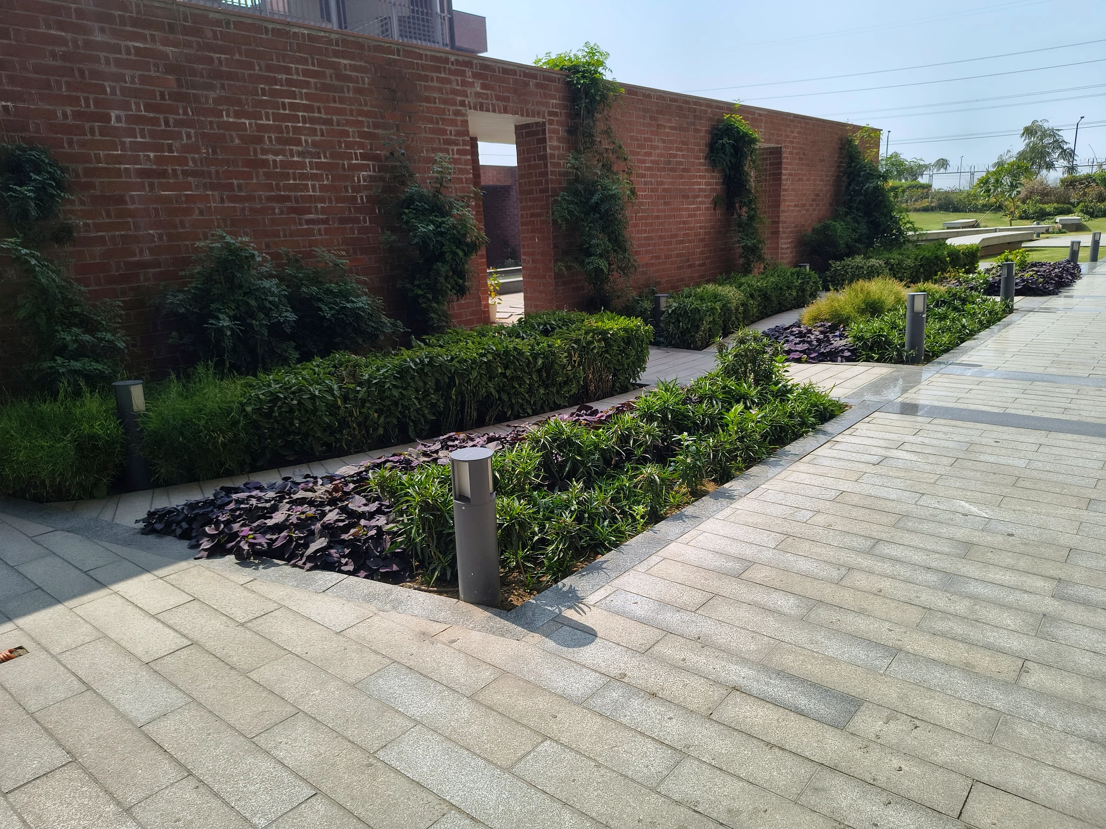 Courtyard planting at a commercial property