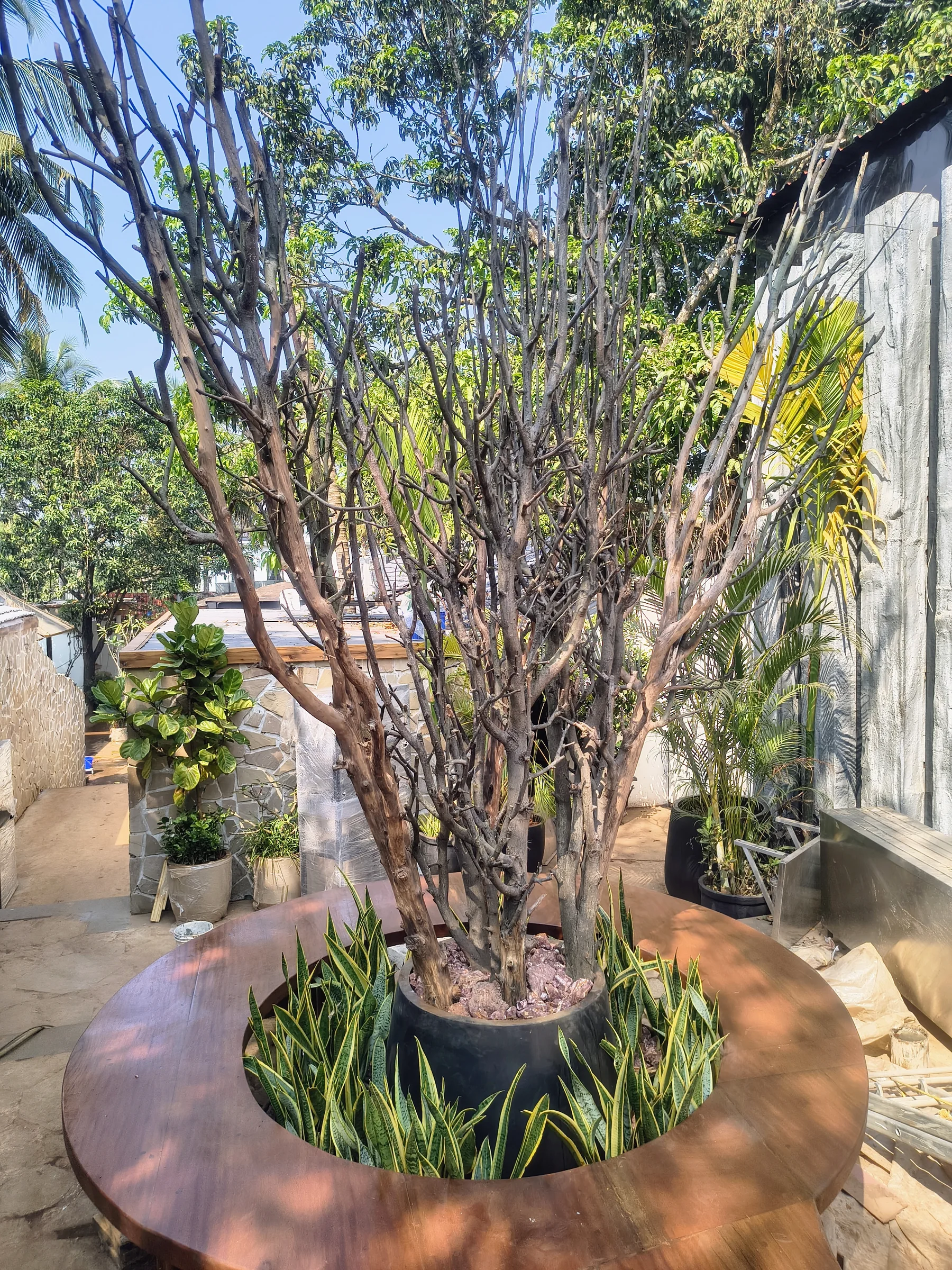 Feature-tree landscape at SAN GOA, Goa